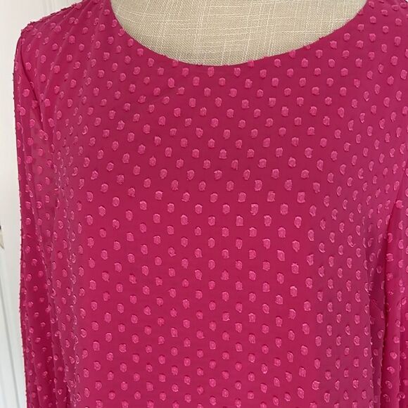 2/20. 
IMNYC Isaac Mizrahi Pink Lined with Sheer Pink Swiss Polka Blouse - Picture 2 of 10